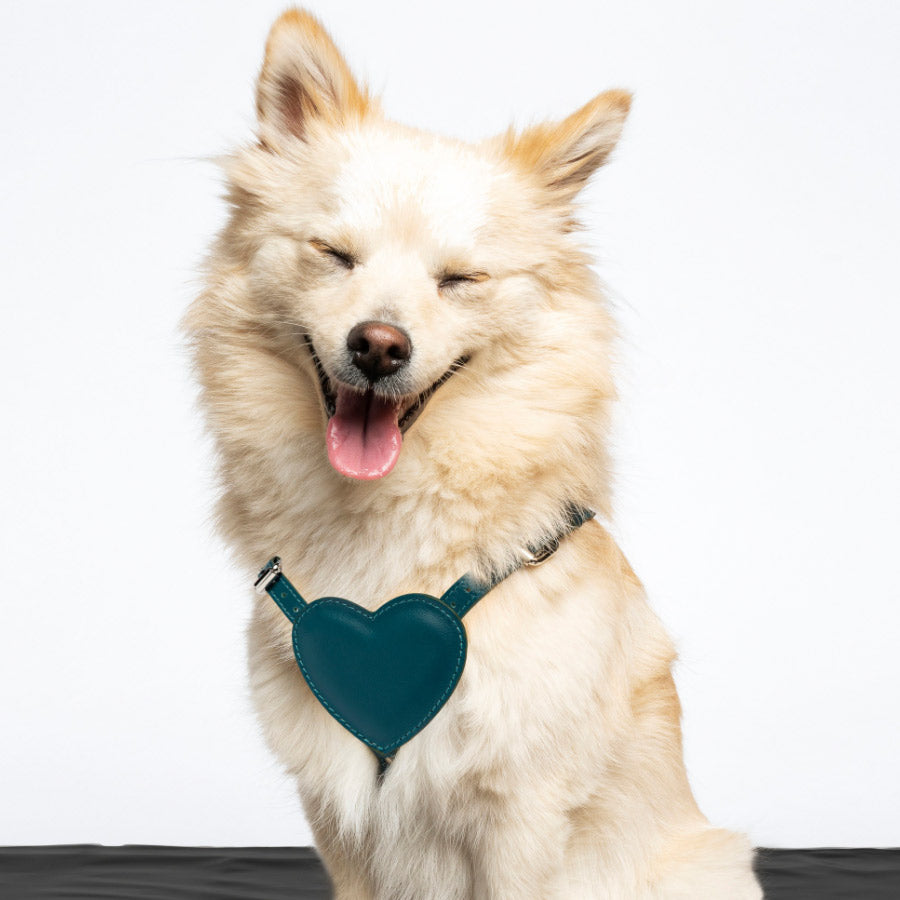 HEART HARNESS by BAURDELLE WS (OTTANIUM)