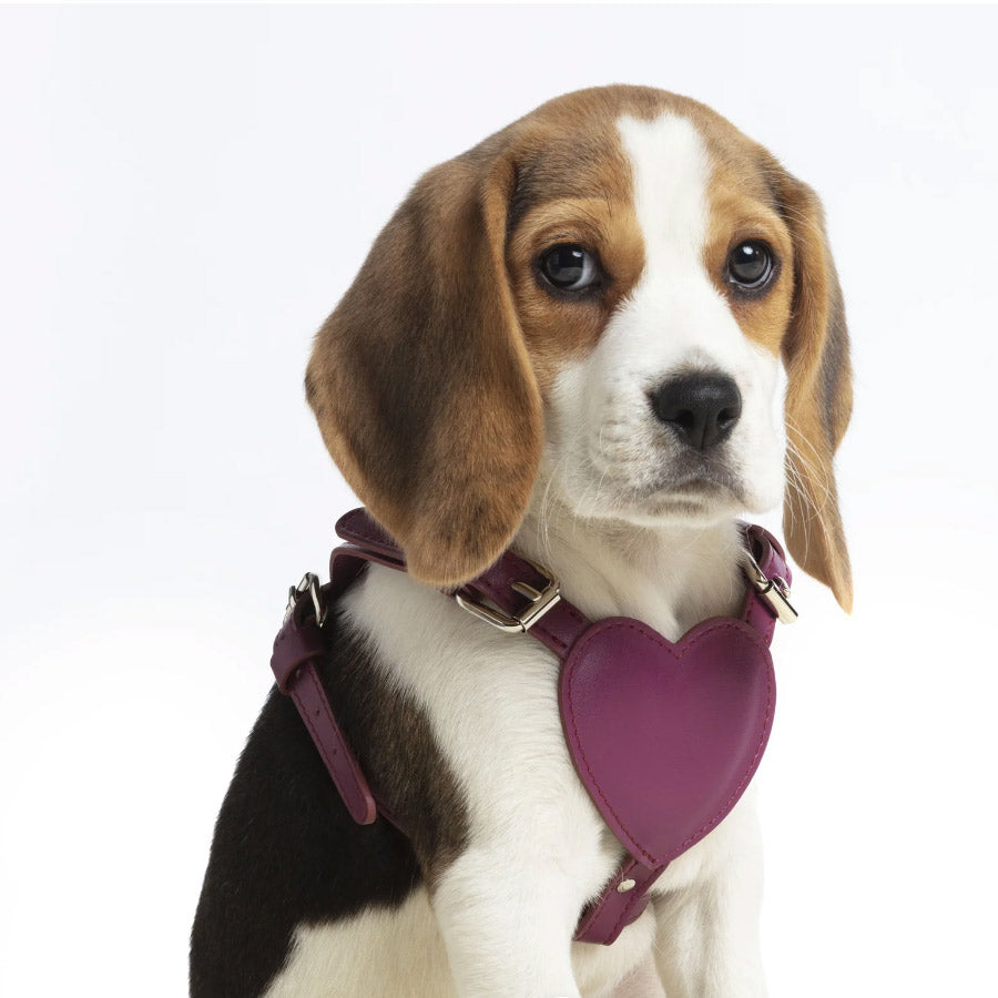 HEART HARNESS by BAURDELLE WS (PLUM)