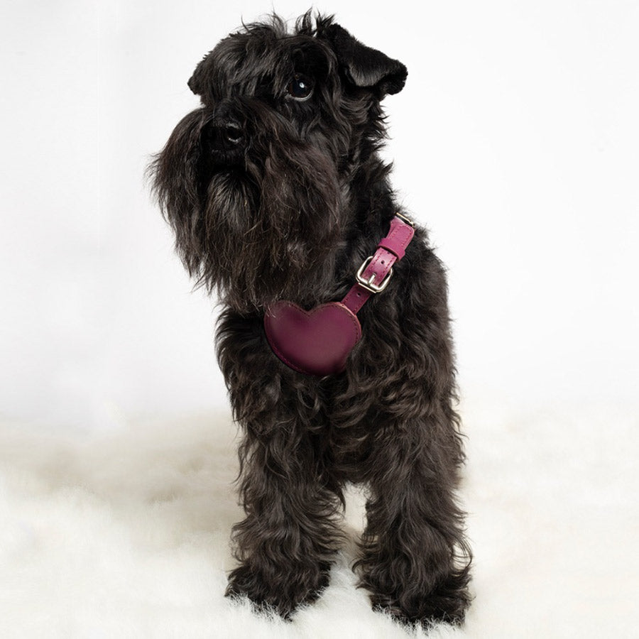 HEART HARNESS by BAURDELLE WS (PLUM)