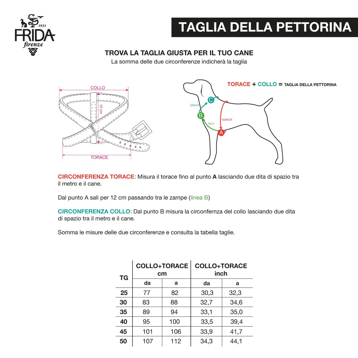 PLAIN HARNESS  by FRIDA FIRENZE WS (CLOUD)