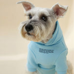 Load image into Gallery viewer, WITH SLOGAN HOODIE by OVERGLAM WDS (BABY BLUE)
