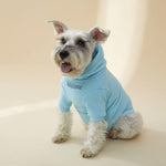 Load image into Gallery viewer, WITH SLOGAN HOODIE by OVERGLAM WDS (BABY BLUE)
