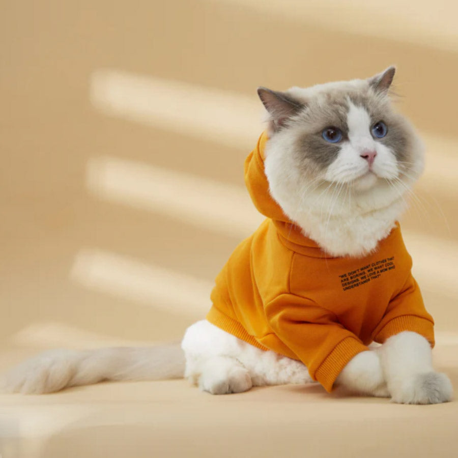 WITH SLOGAN HOODIE by OVERGLAM WDS (ORANGE)