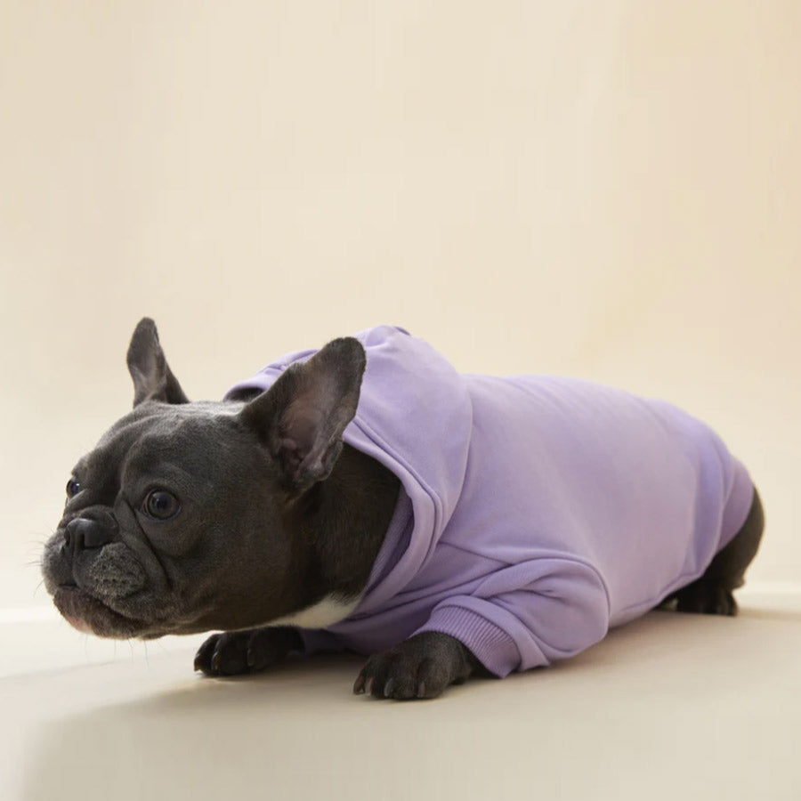 WITH SLOGAN HOODIE by OVERGLAM WDS (PURPLE)