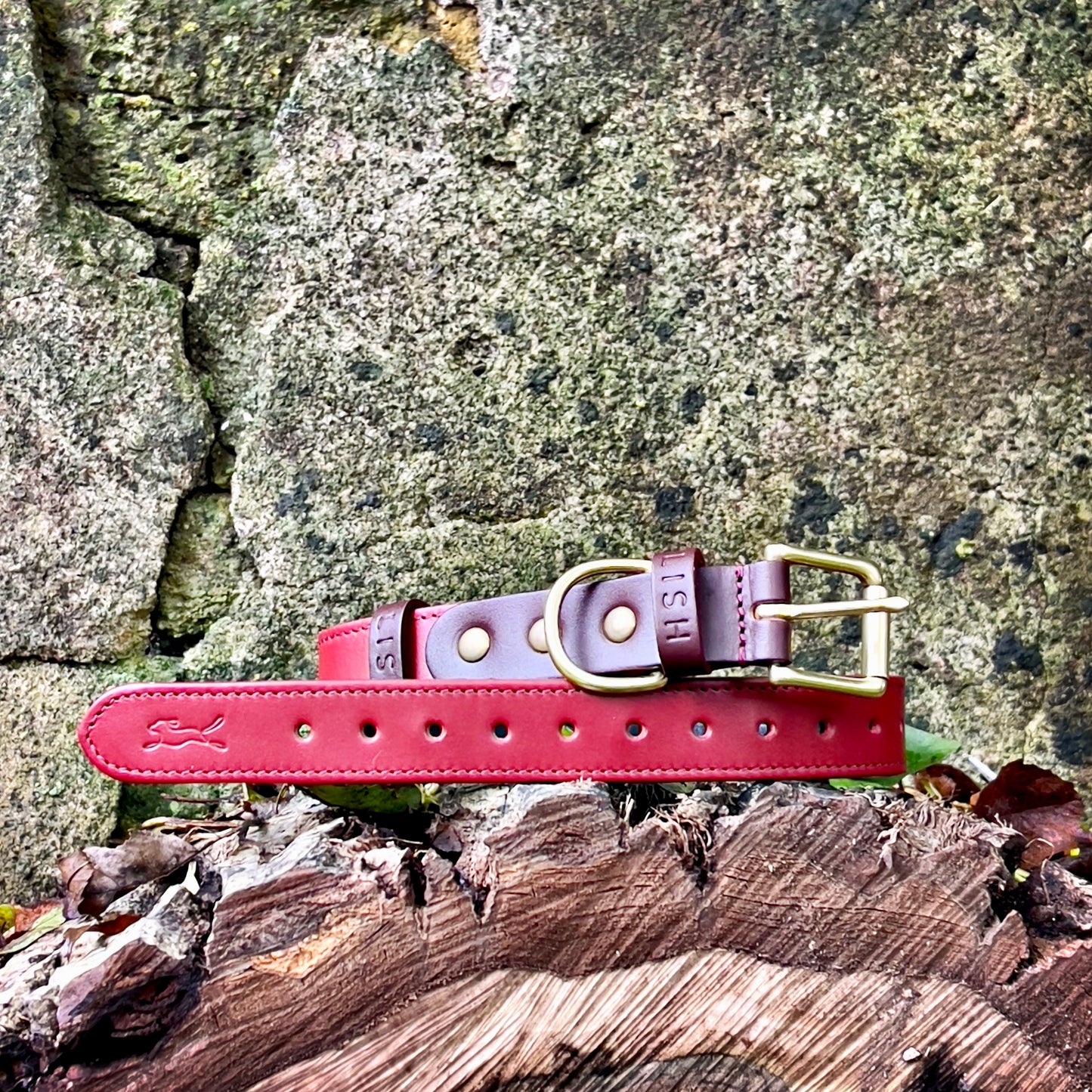 Spencer Pomegranate Red Luxury Leather Designer Dog Collar by LISH LONDON