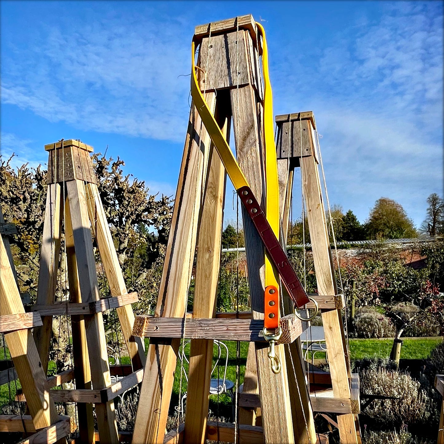 Spencer  Buttercup Yellow Luxury Designer Dog Leash by LISH LONDON