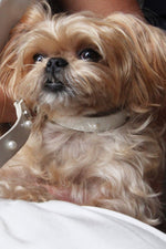 Load image into Gallery viewer, Jila Collar
