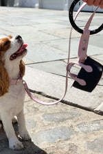 Load image into Gallery viewer, Susan Leash - Blush Pink
