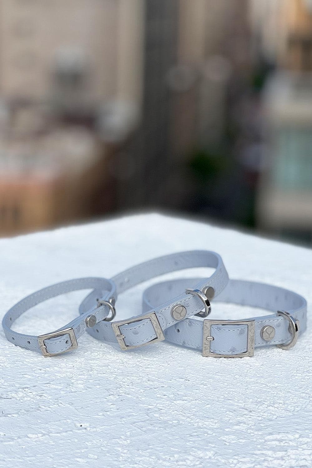 Taylor Ostrich Effect Collar (EXCLUSIVE)