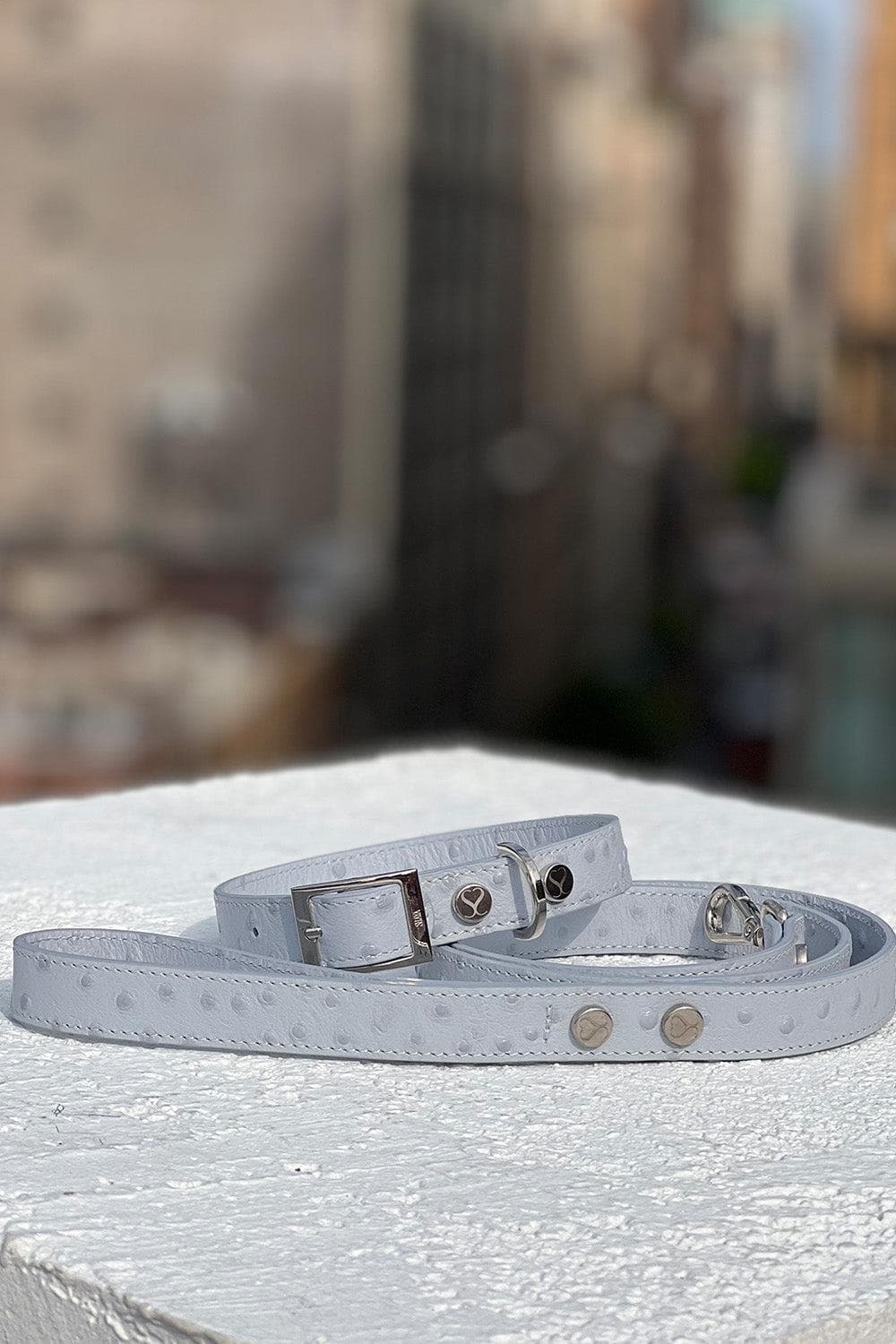 Taylor Ostrich Effect Collar (EXCLUSIVE)