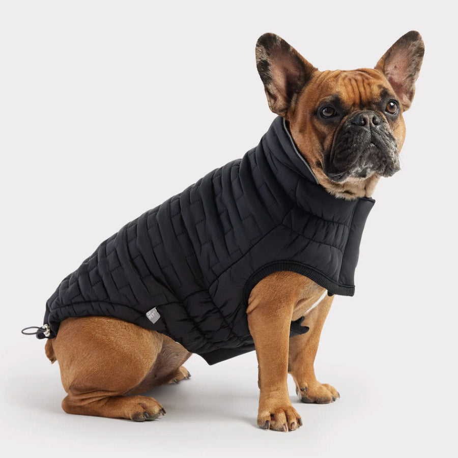REVERSIBLE CHALET DOG JACKET by GF PET WDS (BLACK)