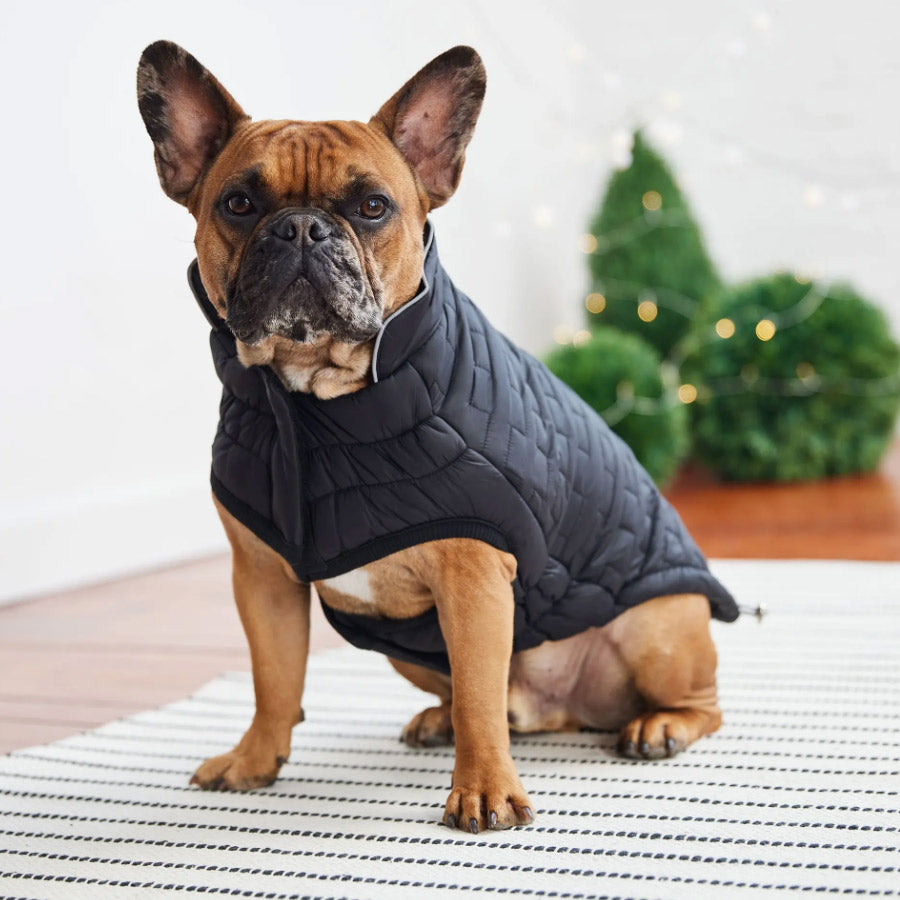 REVERSIBLE CHALET DOG JACKET by GF PET WDS (BLACK)