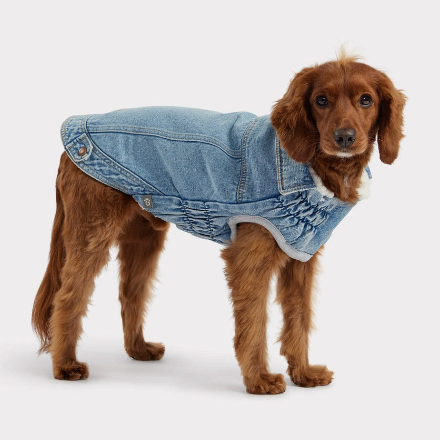 DENIM DOG JACKET by GF PET WDS (LIGHT WASH BLUE)