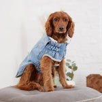 Load image into Gallery viewer, DENIM DOG JACKET by GF PET WDS (LIGHT WASH BLUE)
