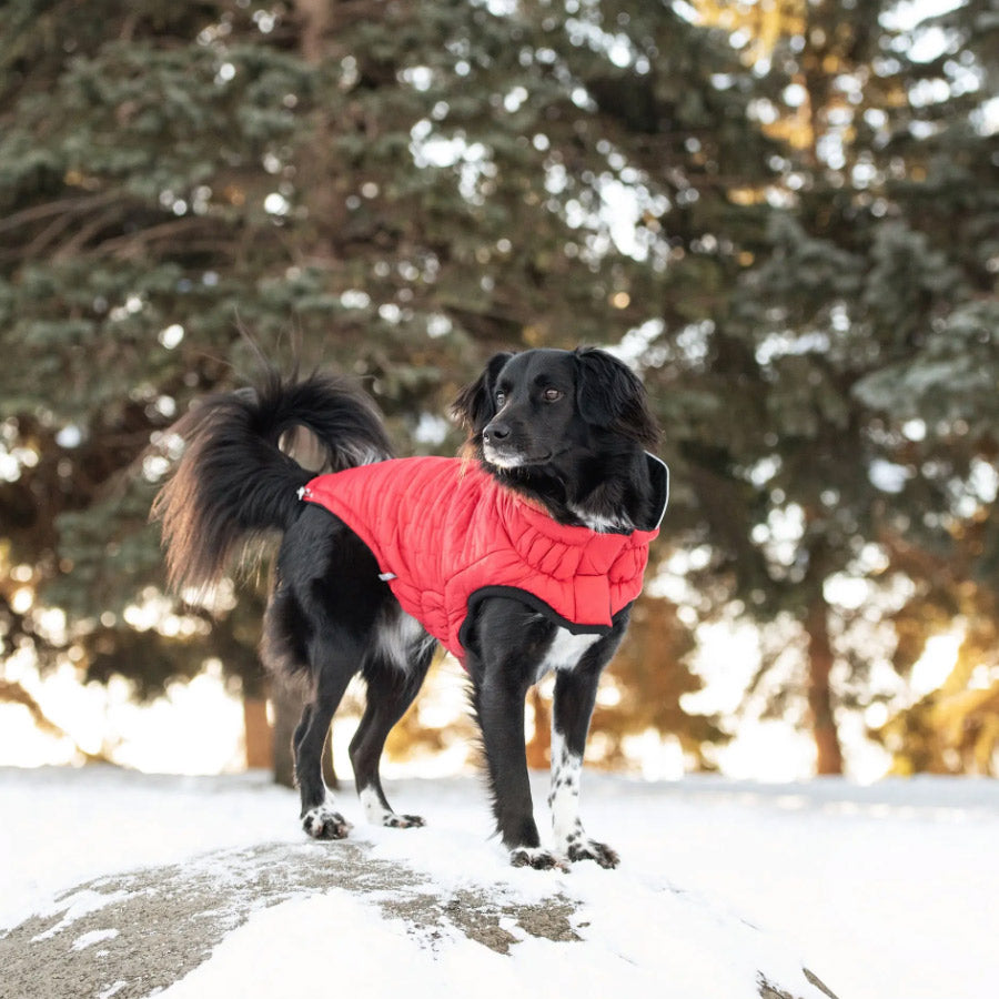 REVERSIBLE CHALET DOG JACKET by GF PET WDS (RED)