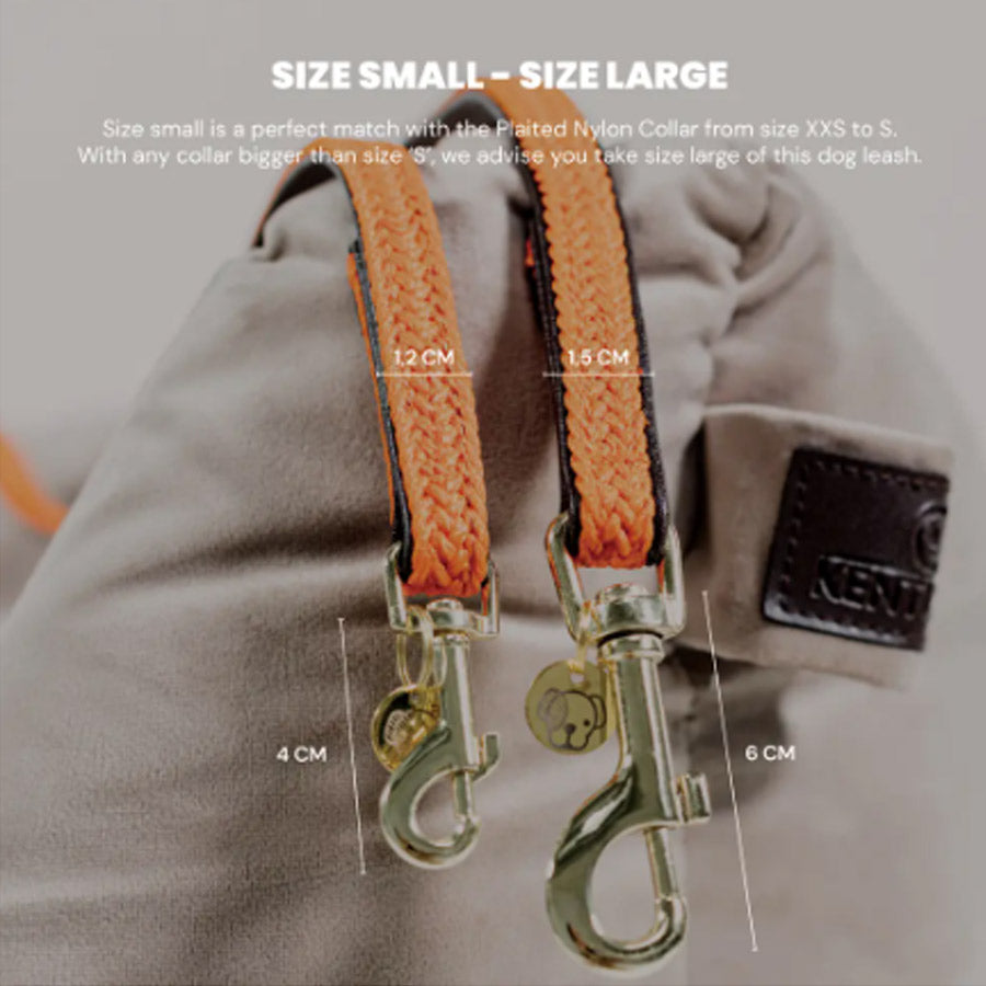 PLAITED NYLON DOG LEASH 200CM by KENTUCKY WS (BEIGE)