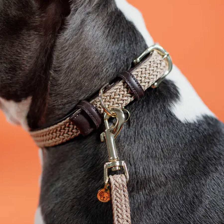 PLAITED NYLON DOG LEASH 200CM by KENTUCKY WS (BEIGE)