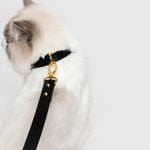 Load image into Gallery viewer, PREMIUM LEATHER LEASH by OVERGLAM WDS (BLACK)
