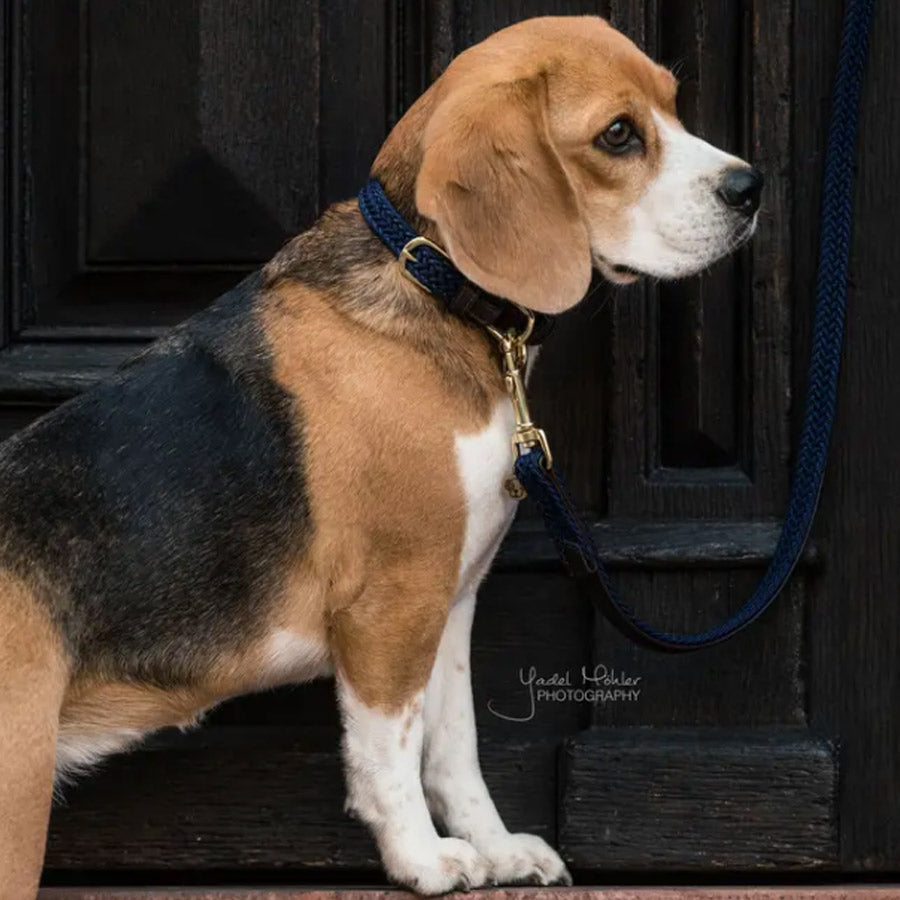 PLAITED NYLON DOG LEASH 200CM by KENTUCKY WS (NAVY)