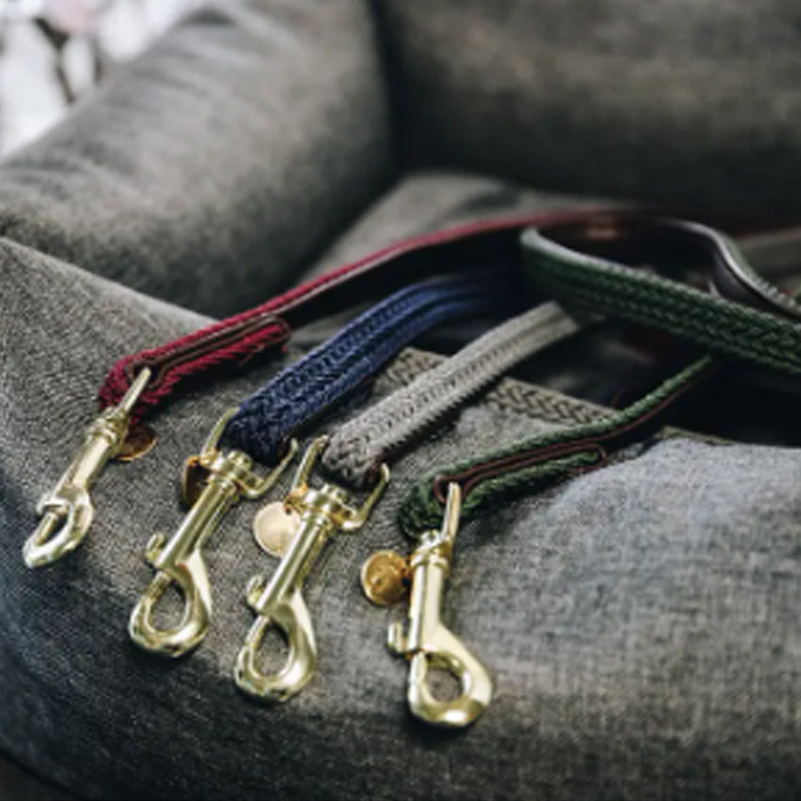 PLAITED NYLON DOG LEASH 200CM by KENTUCKY WS (NAVY)