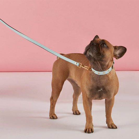 PLAIN LEASH  by FRIDA FIRENZE WS (BROWN)