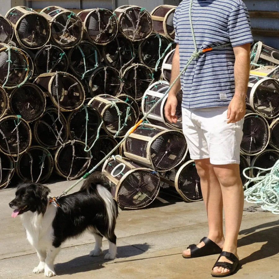 CORME CROSS-BODY DOG LEASH by THE PAINTER'S WIFE (GREEN)