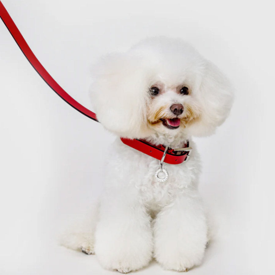 PREMIUM LEATHER LEASH by OVERGLAM WDS (RED)