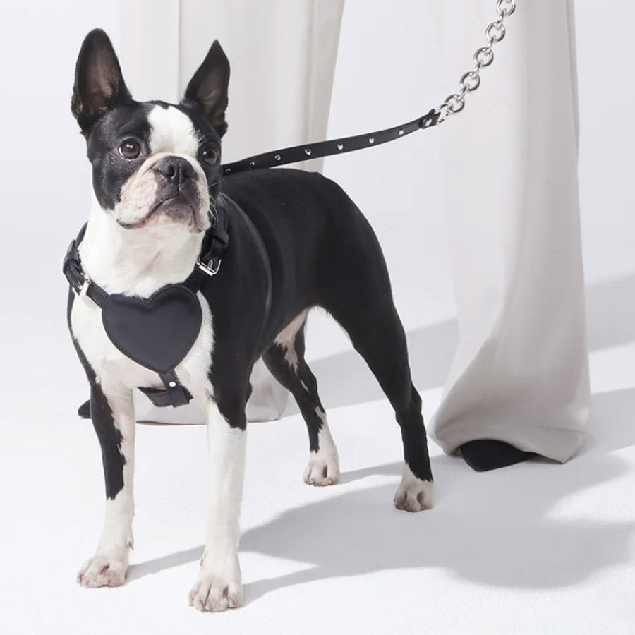 LEASH WITH CHAIN by BAURDELLE WS (BLACK)