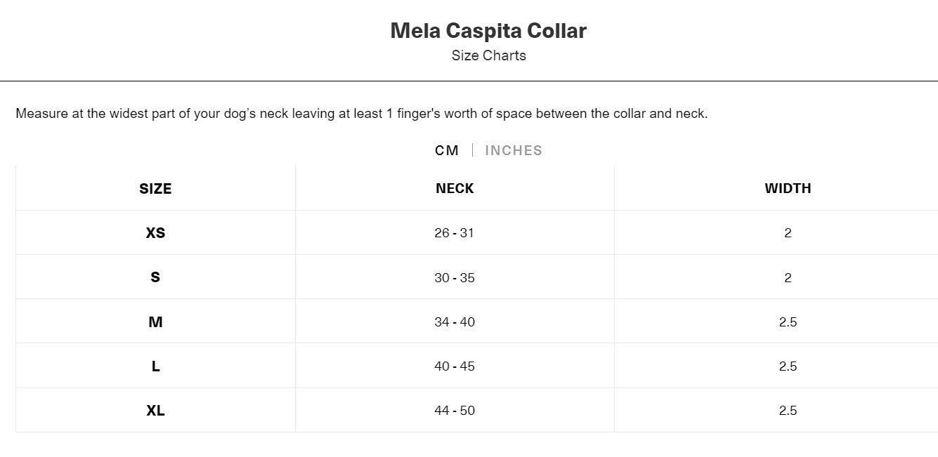 MELA CASPITA COLLAR by BY SCOUT WS (BLACK)