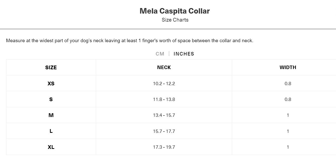 MELA CASPITA COLLAR by BY SCOUT WS (BLACK)