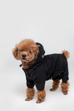 Load image into Gallery viewer, Four Leg Thin Coat with Slogan by OVERGLAM DS (BLACK)
