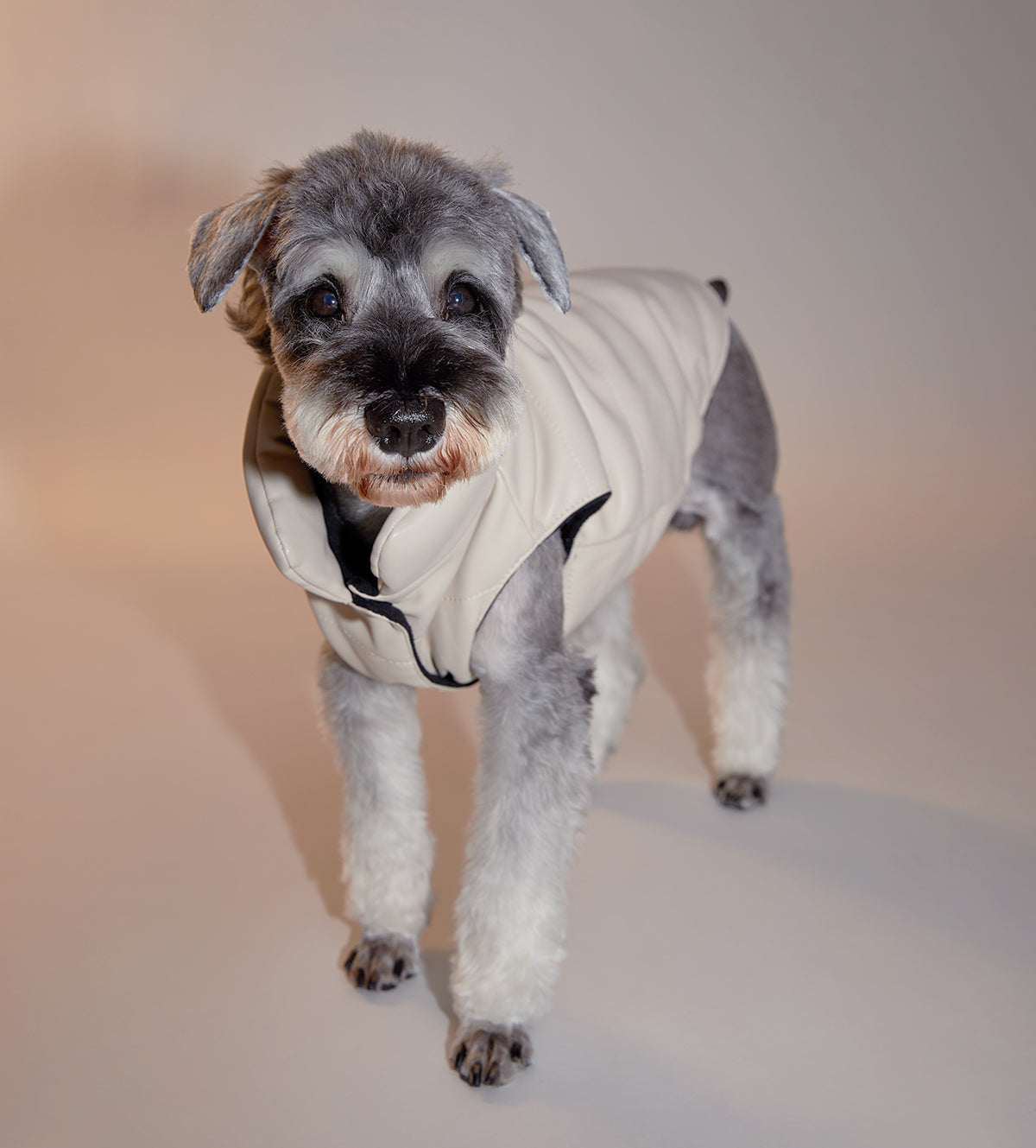 Sleeveless Leather Jacket by OVERGLAM DS (CREAM)