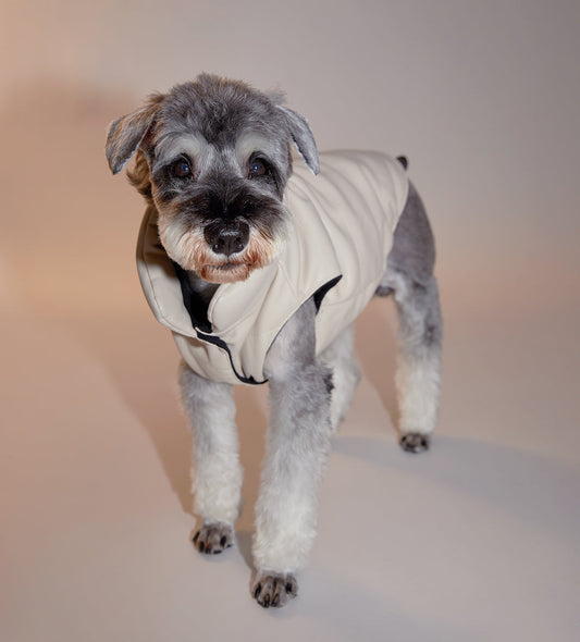 Sleeveless Leather Jacket by OVERGLAM DS (CREAM)