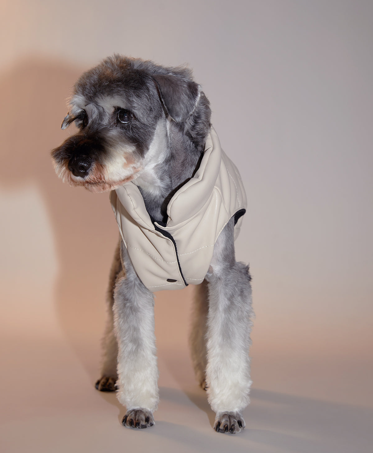 Sleeveless Leather Jacket by OVERGLAM DS (CREAM)