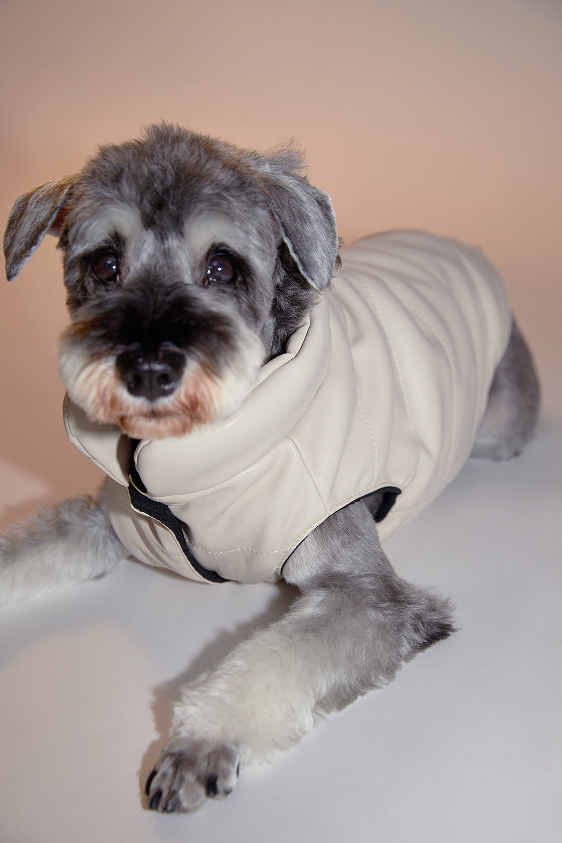 Sleeveless Leather Jacket by OVERGLAM DS (CREAM)