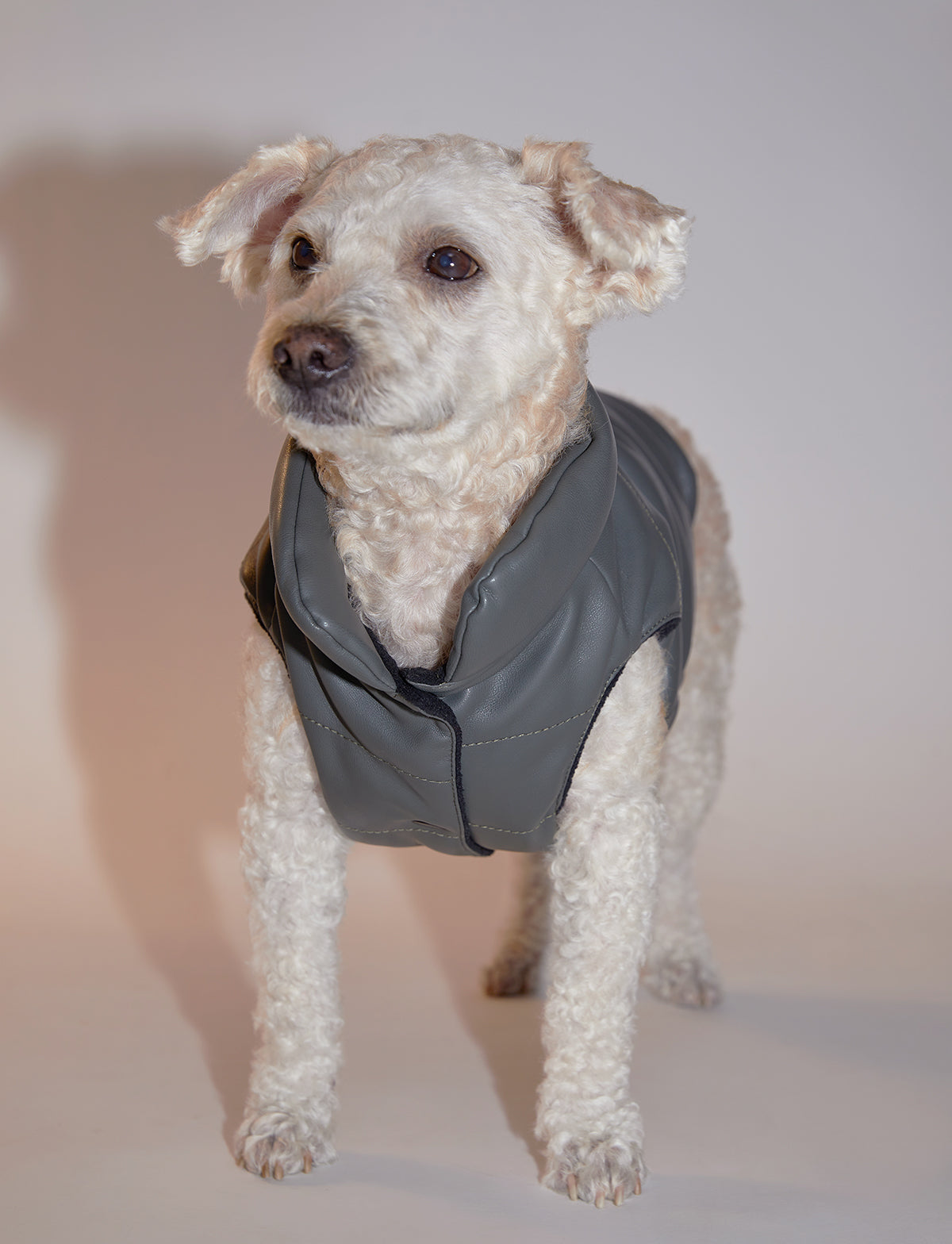 Sleeveless Leather Jacket by OVERGLAM DS (MOSS)