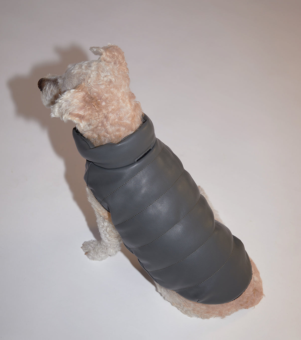 Sleeveless Leather Jacket by OVERGLAM DS (MOSS)