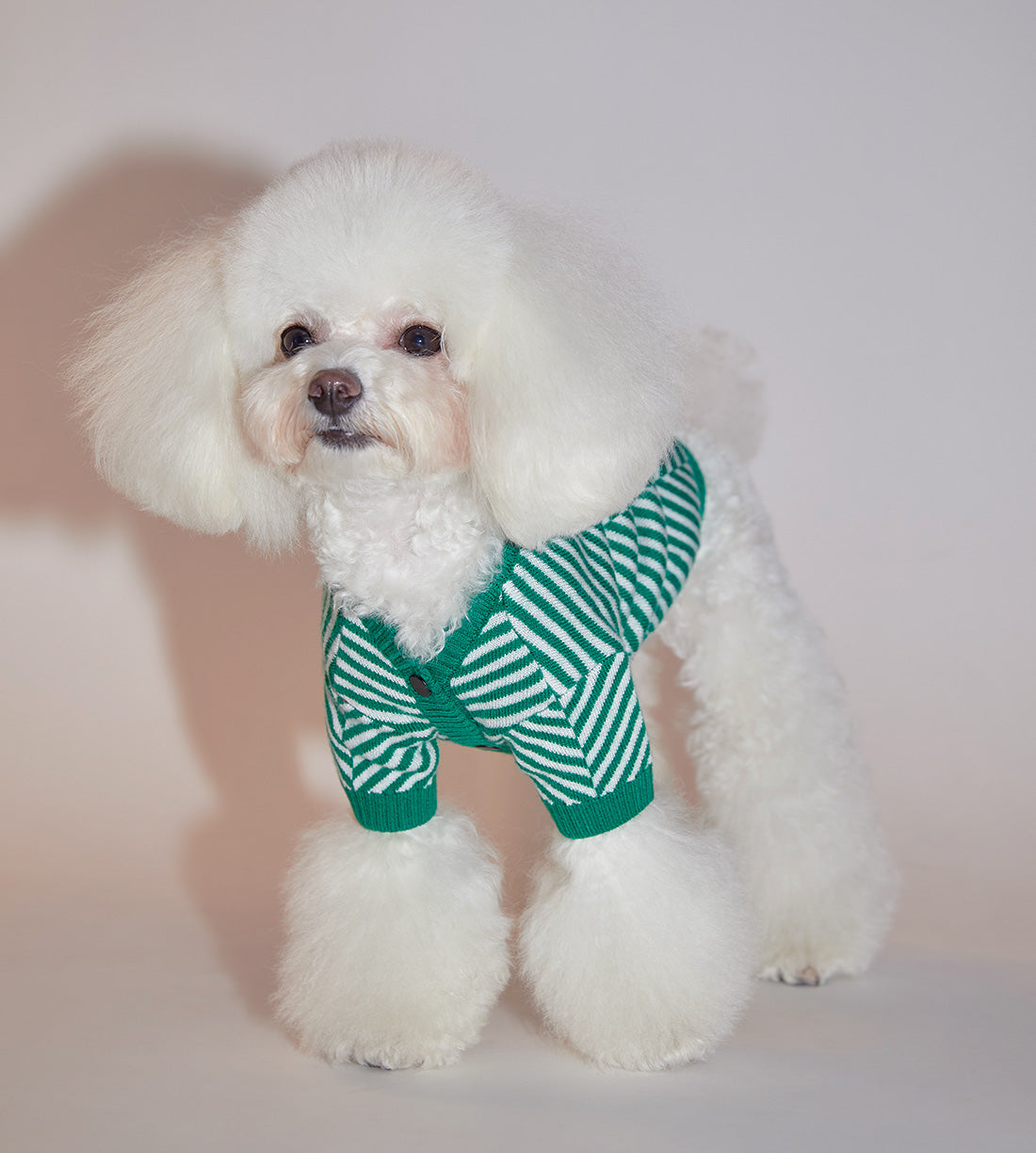 Zig-Zag Cardigan Sweater by OVERGLAM DS (GREEN WHITE)