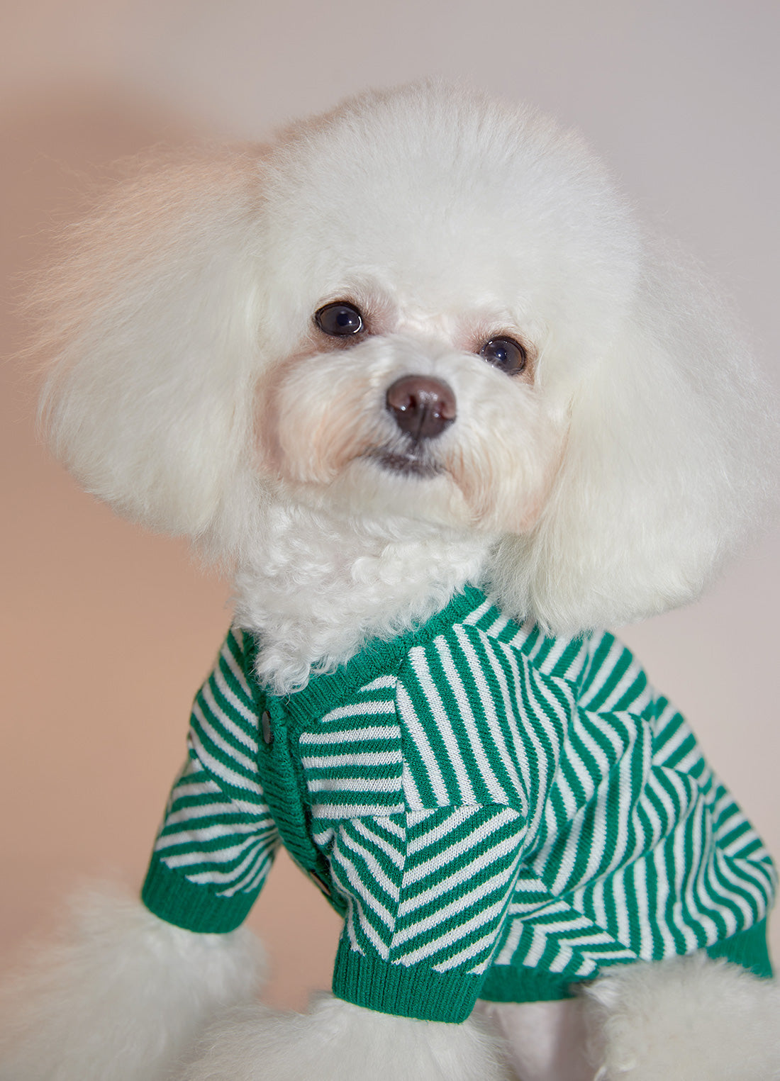 Zig-Zag Cardigan Sweater by OVERGLAM DS (GREEN WHITE)