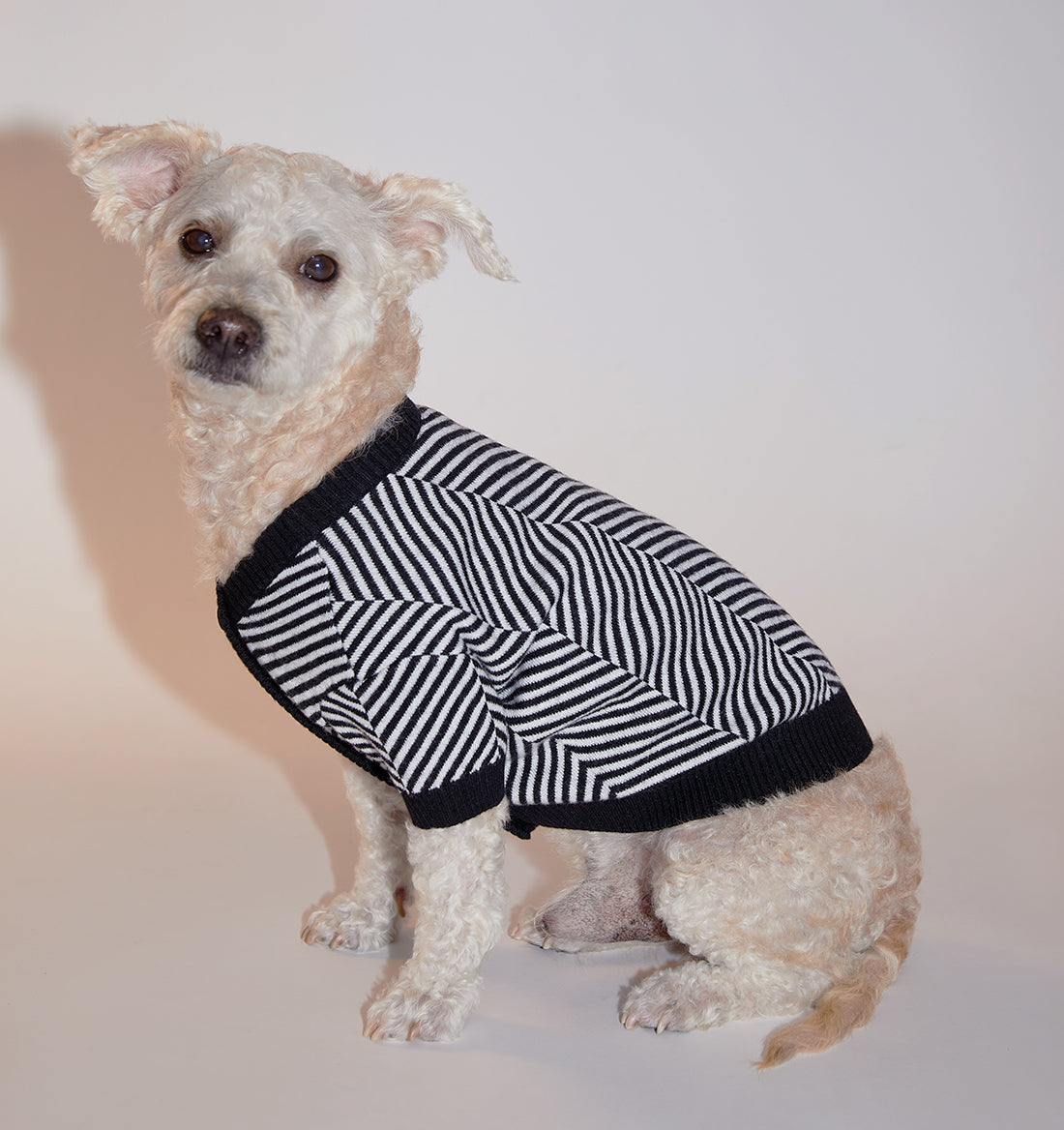 Zig-Zag Cardigan Sweater by OVERGLAM DS (BLACK WHITE)