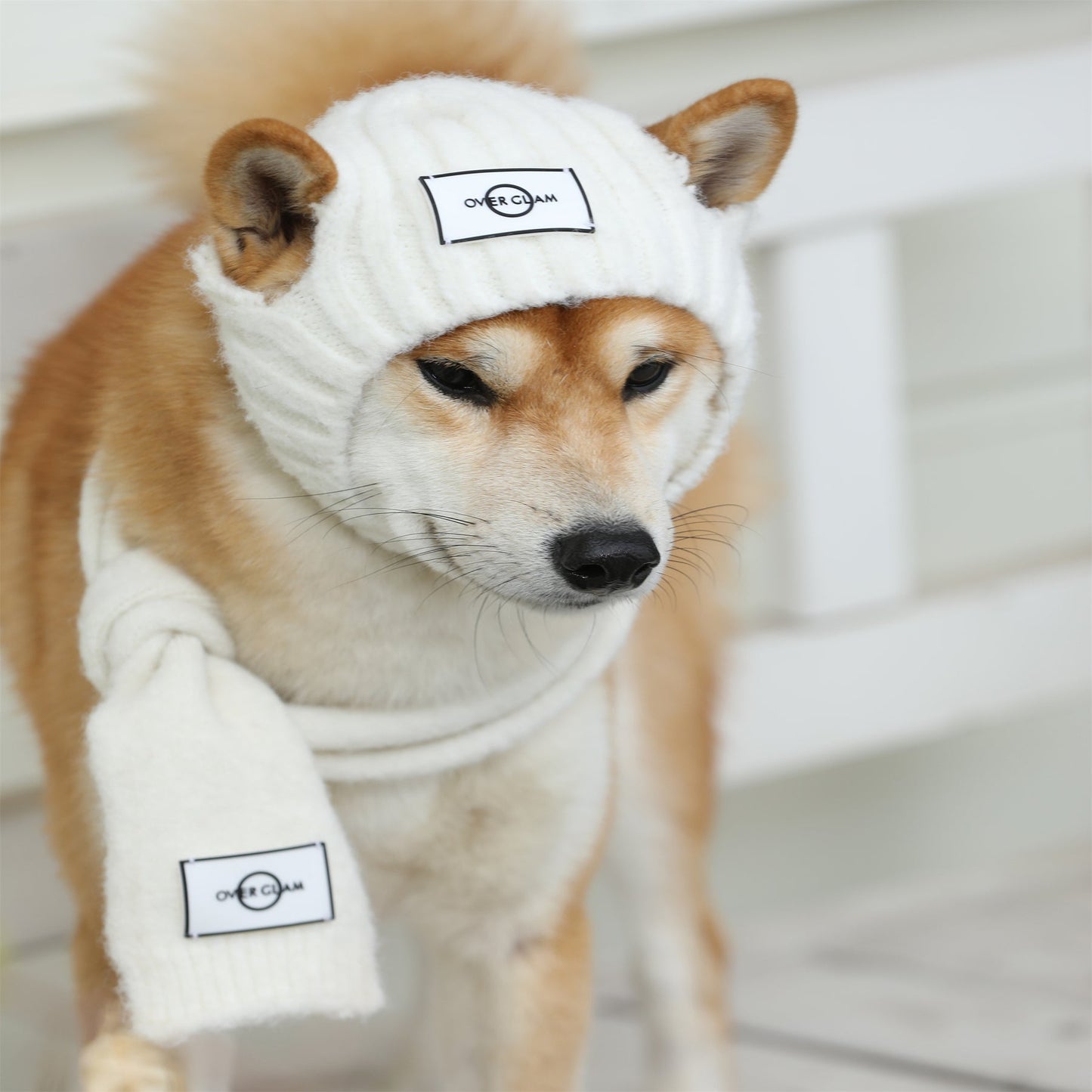 Woolen Scarf by OVERGLAM DS (WHITE)