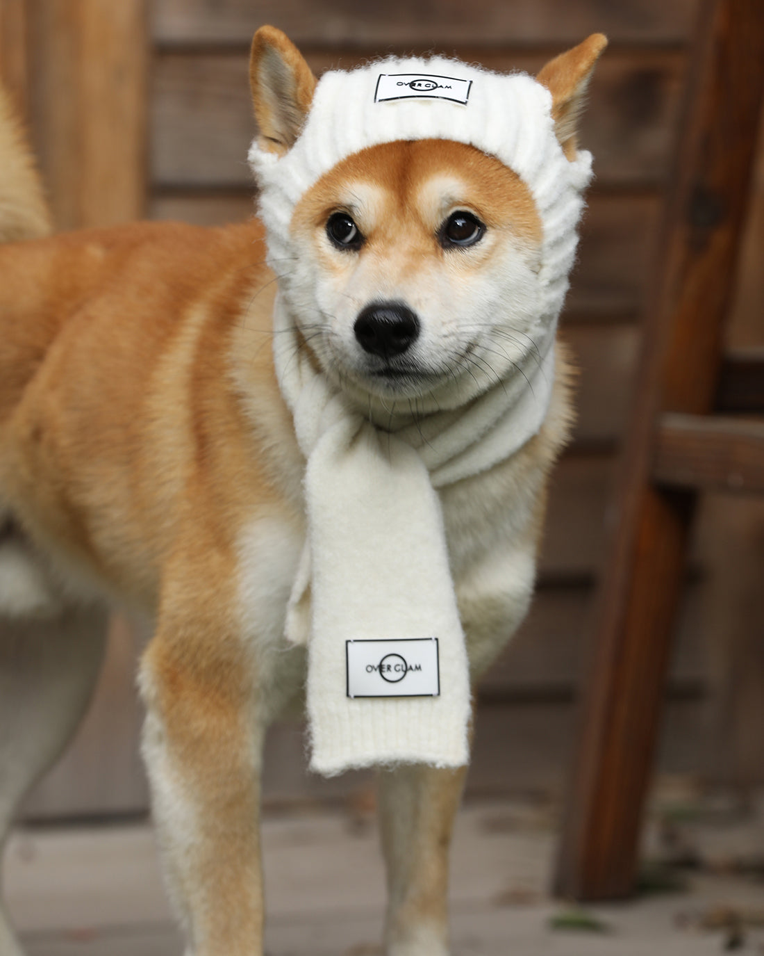 Woolen Scarf by OVERGLAM DS (WHITE)