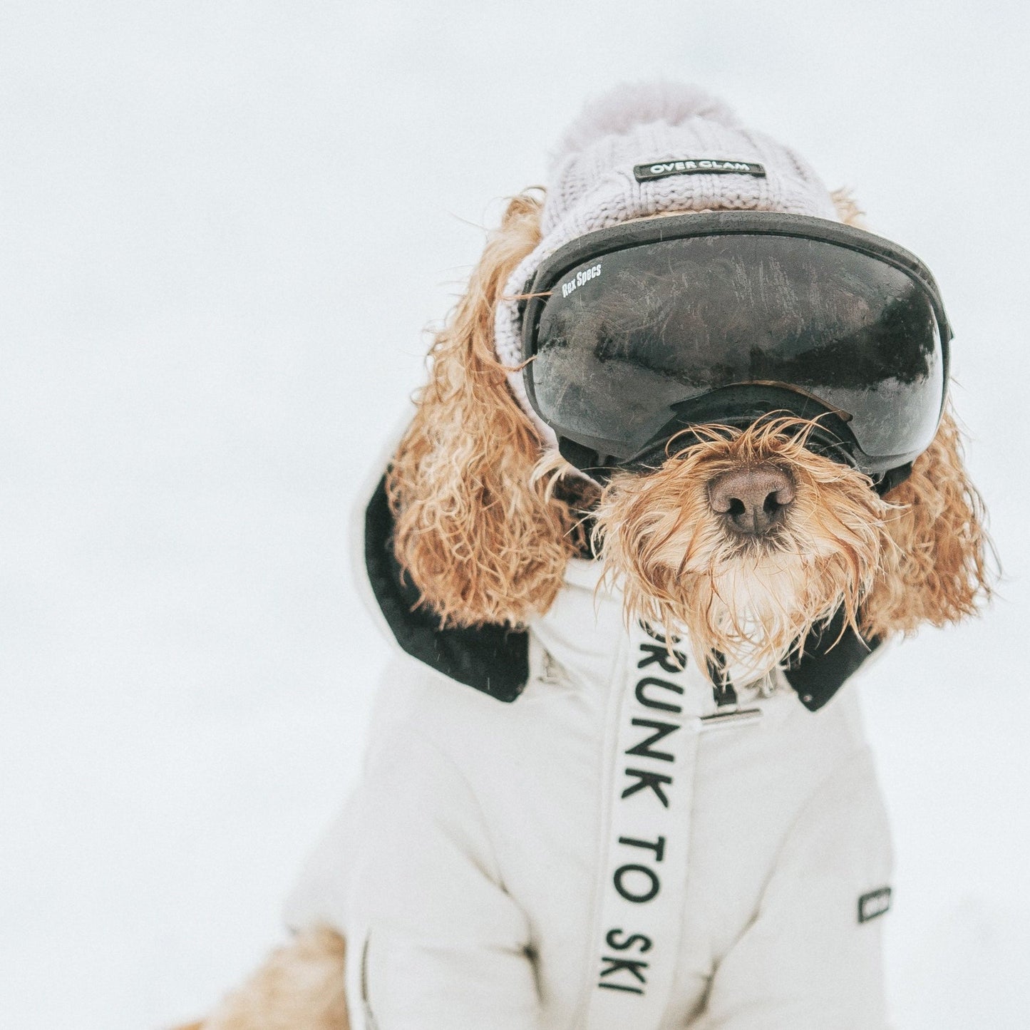 Zip Up Puffer Ski Jacket with Placket Embroidered by OVERGLAM DS (WHITE)