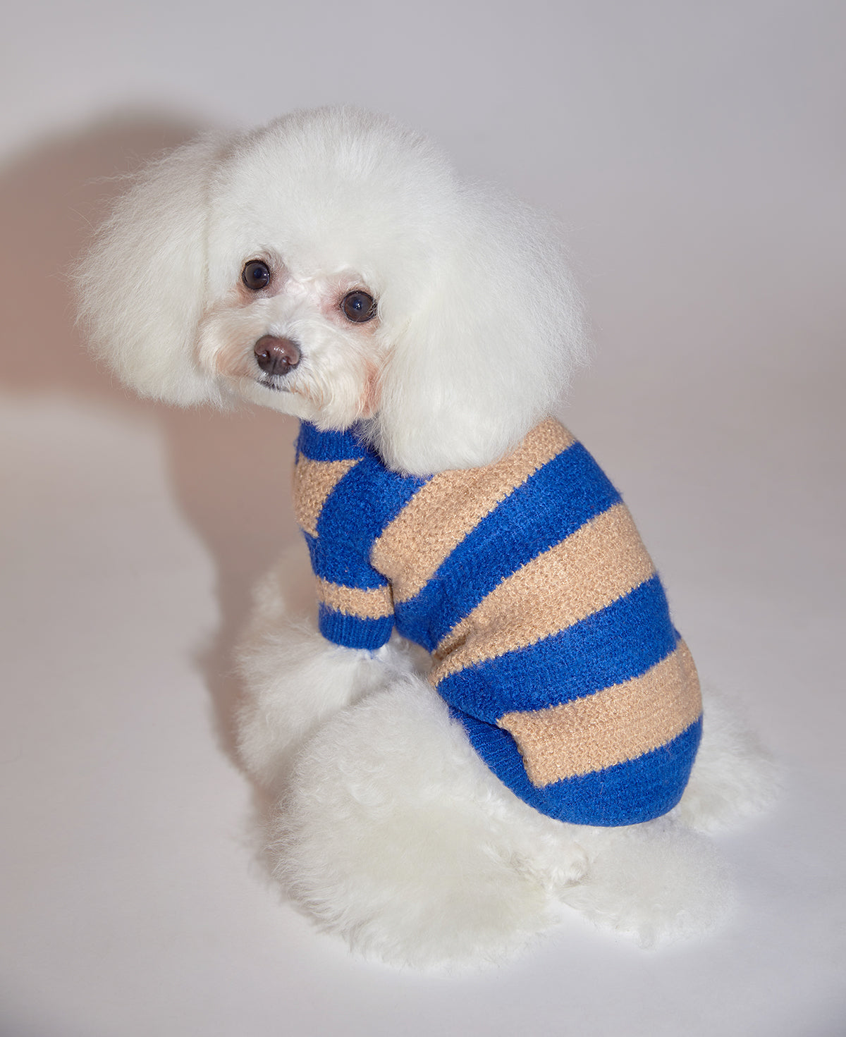 Contrast Striped Sweater by OVERGLAM DS (BLUE APRICOT)