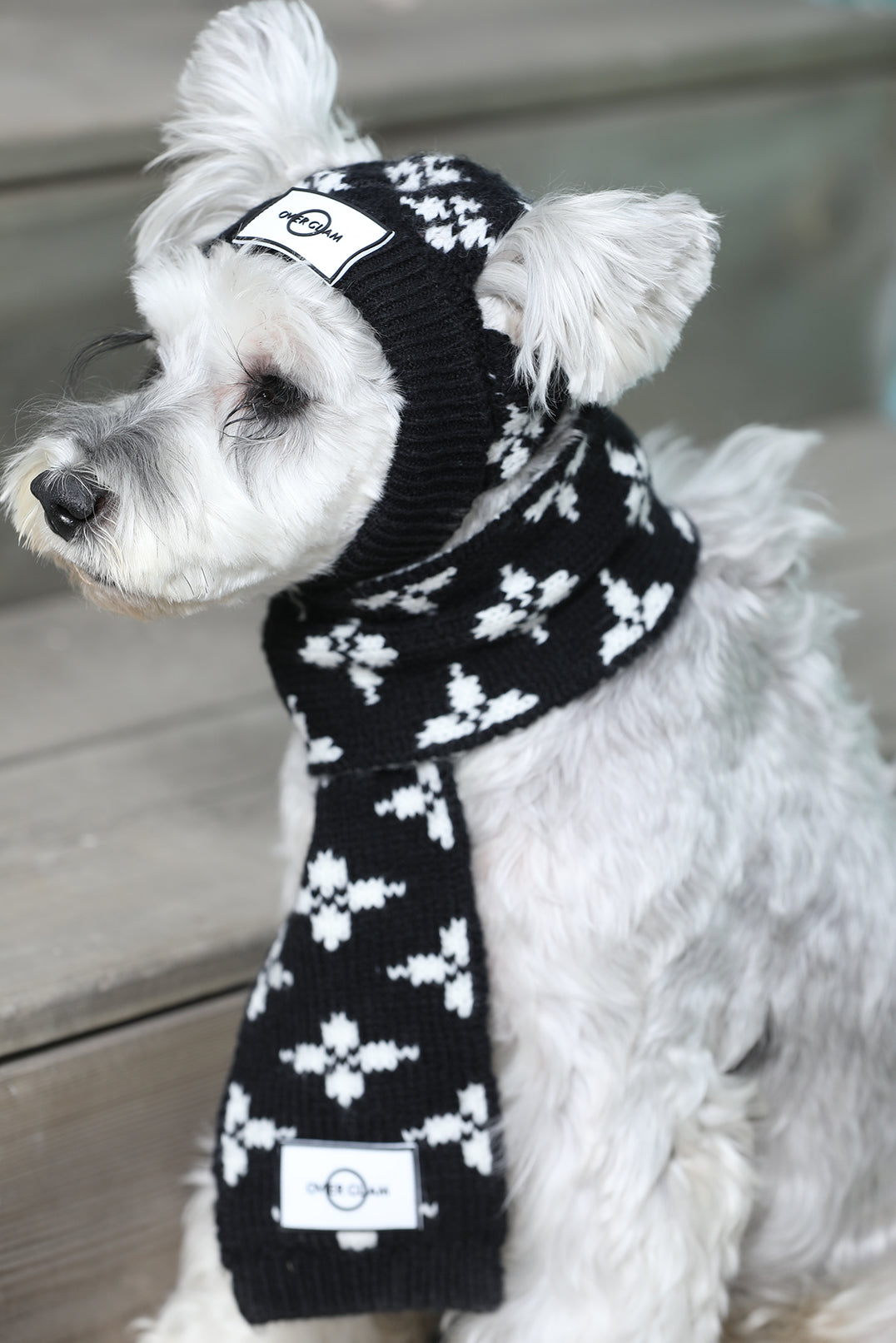Floral Jacquard Woolen Scarf by OVERGLAM DS (BLACK WHITE)