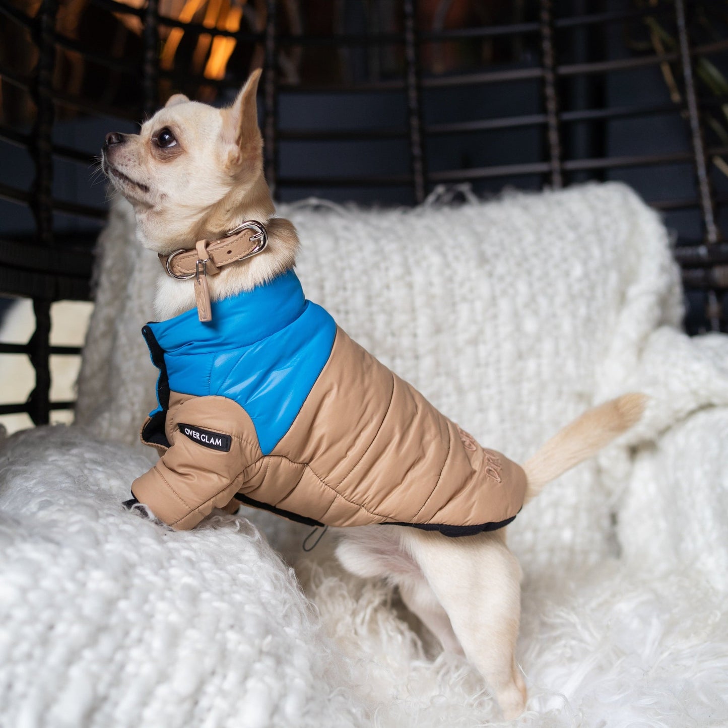 Contrast Button Up Puffer Ski Jacket by OVERGLAM DS (APRICOT BLUE)