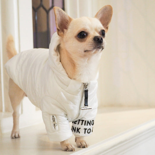 Zip Up Puffer Ski Jacket with Hood by OVERGLAM DS (WHITE)