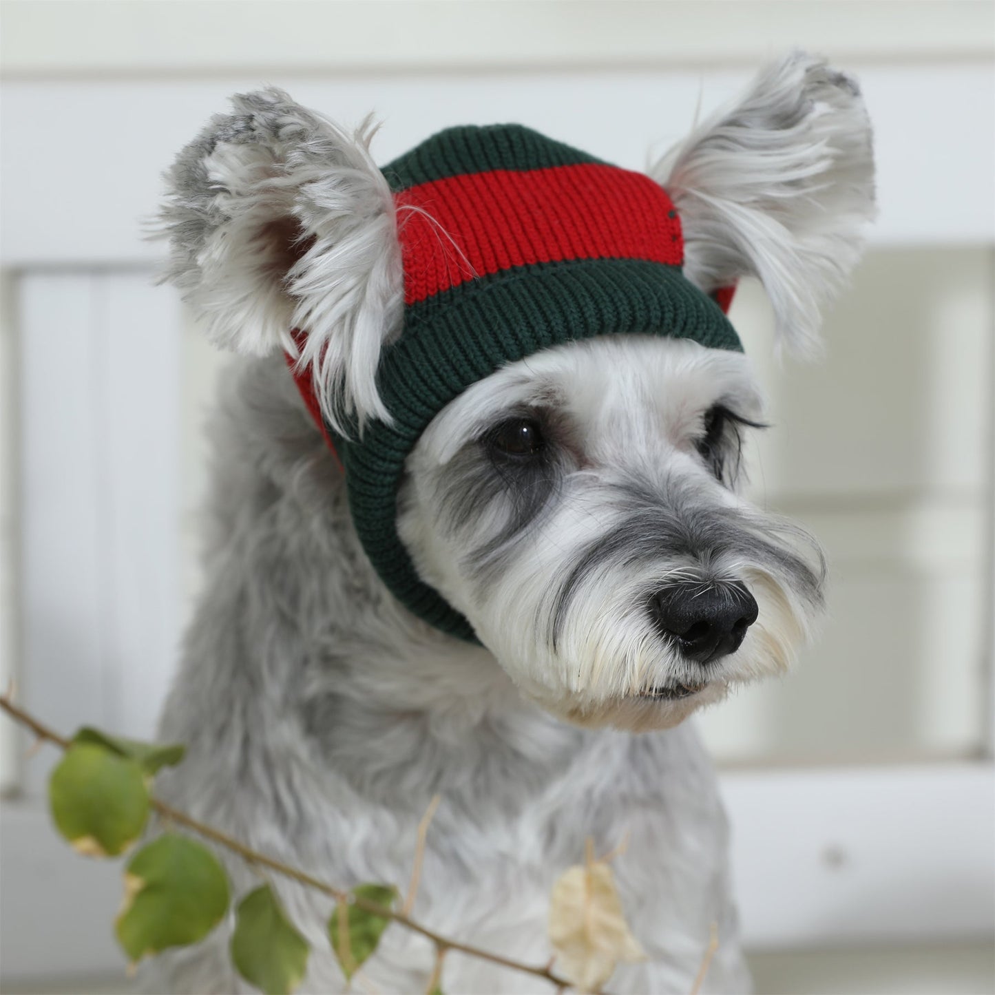 Contrast Woollen Hat by OVERGLAM DS (GREEN RED)