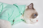 Load image into Gallery viewer, Pastel Hoodie by OVERGLAM DS (MINT)
