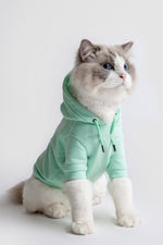 Load image into Gallery viewer, Pastel Hoodie by OVERGLAM DS (MINT)
